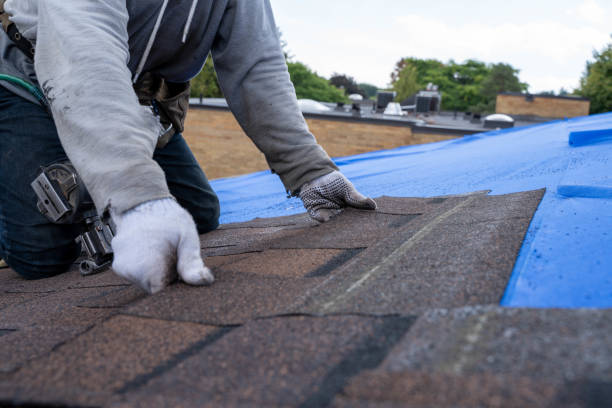 Roof Installation Near Me in Floris, VA