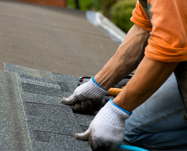 Best Roof Maintenance Services  in Floris, VA