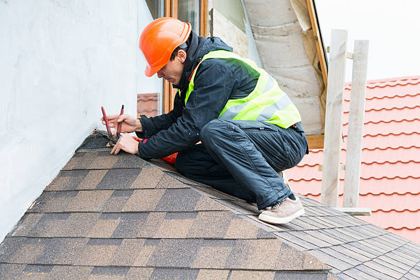 Best Roof Inspection Near Me  in Floris, VA
